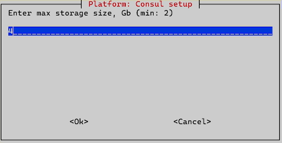 install consul setup