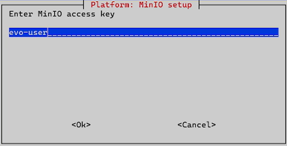 install minio setup access key