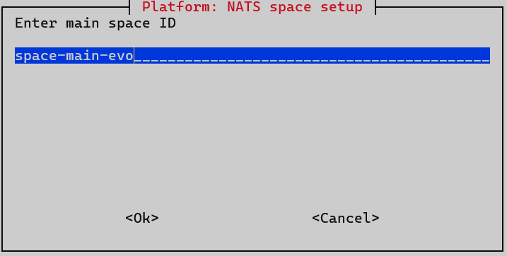 install nats space value