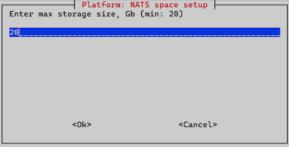 install nats space setup