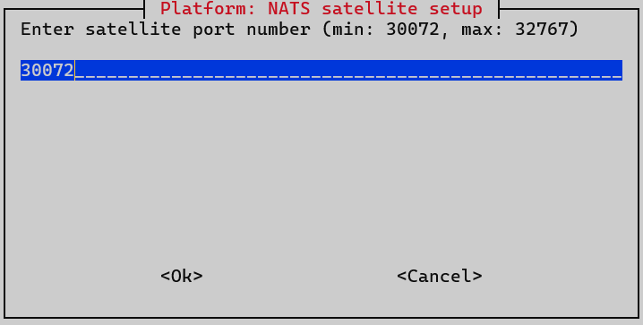 satellite install nats port
