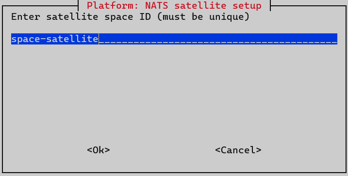 satellite install nats space name