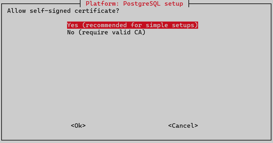 postgres allow self signed