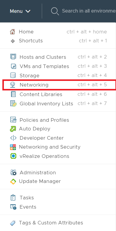 vsphere client networking