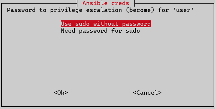 install ansible become sudo