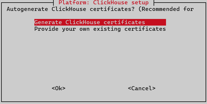 install clickhouse certs options