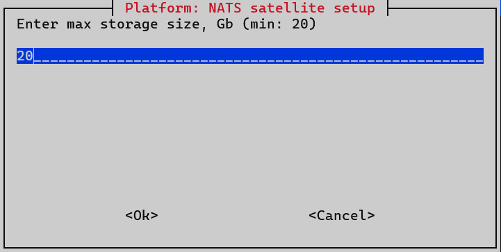 satellite install nats max storage size
